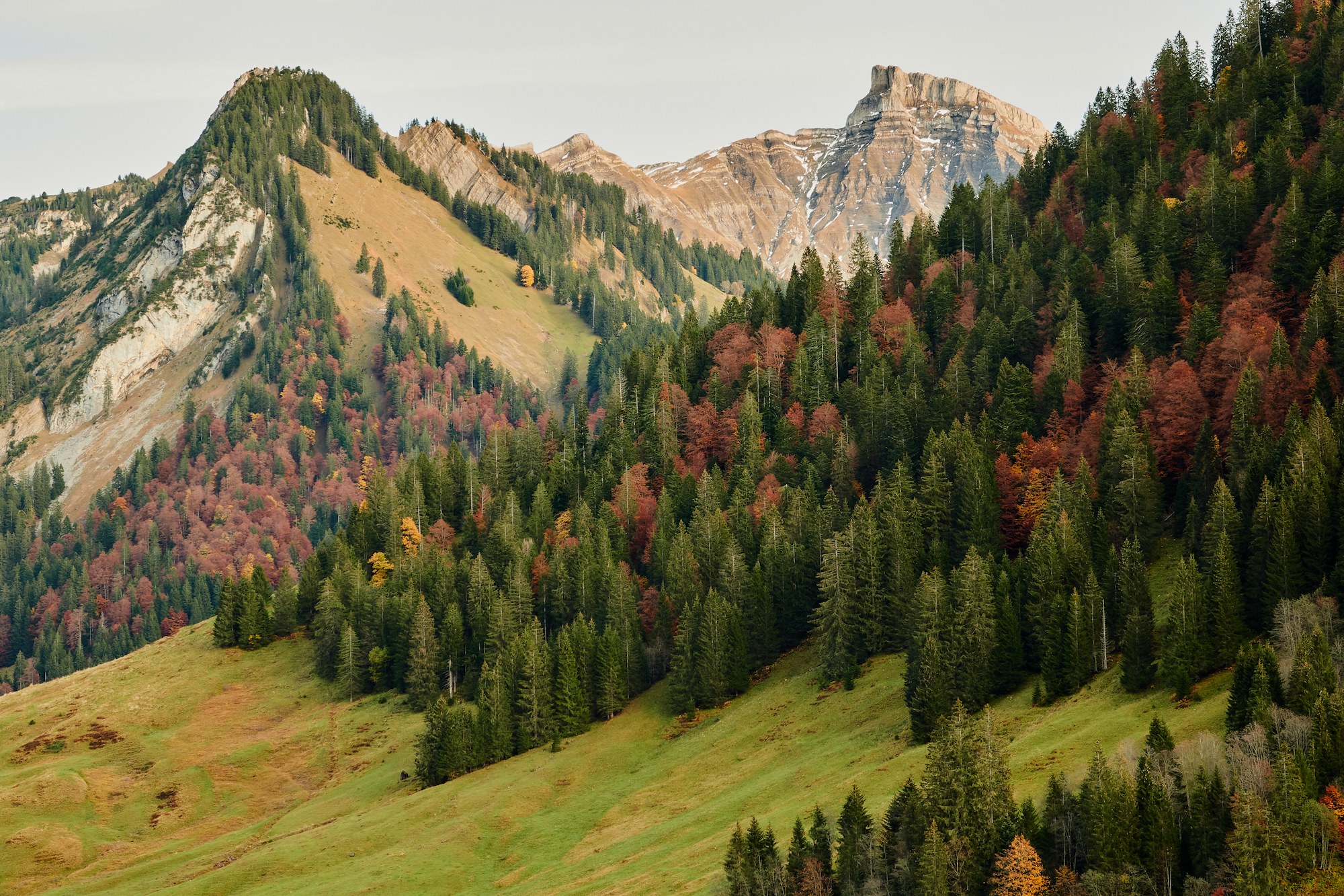 Geführte Herbstwanderung zur Gemeindealm